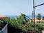 Immagine 9