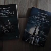 The Witcher 2 libri 