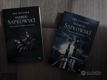 The Witcher 2 libri 