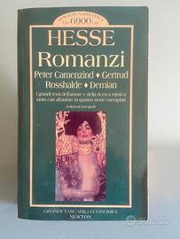 Hesse Romanzi.  Vintage