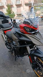 QJ Motor SRT 800 - 2024