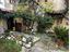 Immagine 7