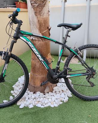 bici montabike 