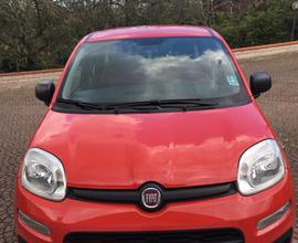 Fiat Panda 1.2 69cv Easy 2017 GPL 49000 km