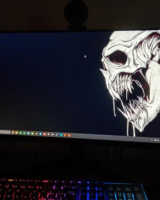 monitor Samsung 24 pollici 75hz