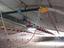 Immagine 14