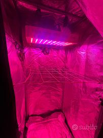 Grow box