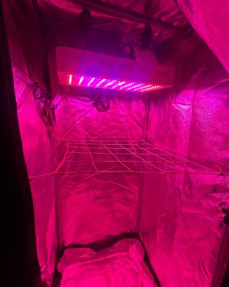 Grow box