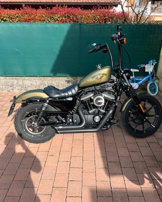 Harley Davidson iron 883