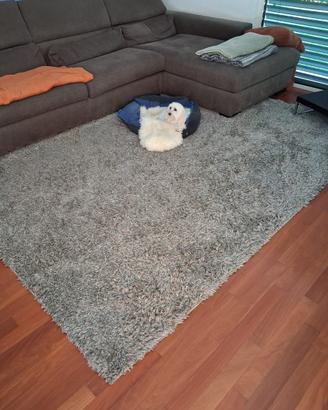 Tappeto 300 x 250