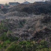 Terra per riempimento 