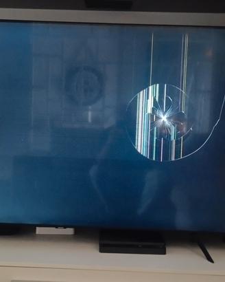 Ricambi TV 65 pollici Samsung 