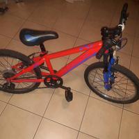 Bicicletta bambino 20 pollici 