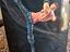 Immagine 6