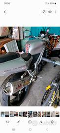 Speed Triple 955i