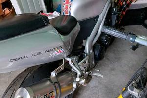 Speed Triple 955i