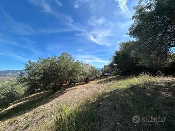 TER. RESIDENZIALE A COSENZA