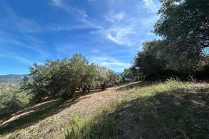 TER. RESIDENZIALE A COSENZA