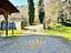 Immagine 7