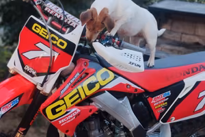 Honda Cr 250 2004