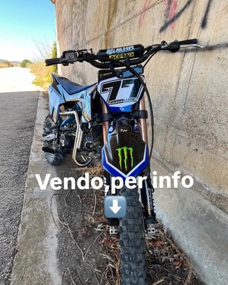 Pit bike profive kf2 140cc