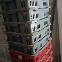 ceste in plastica per alimenti multiuso