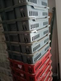 ceste in plastica per alimenti multiuso