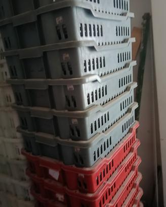 ceste in plastica per alimenti multiuso