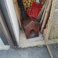 casetta cane 