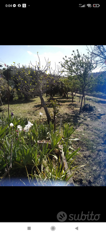 Vendita campagna Caltanissetta