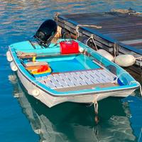 Boston Whaler 13