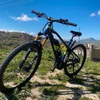 Ebike Raymon  HardRay E-Nine 4.0
