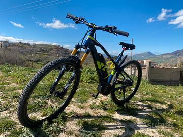 Ebike Raymon  HardRay E-Nine 4.0
