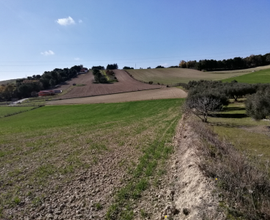 Terreno agricolo collinare irriguo