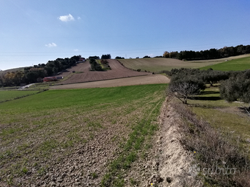 Terreno agricolo collinare irriguo