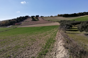 Terreno agricolo collinare irriguo