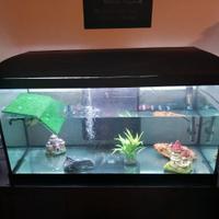Acquario 190lt