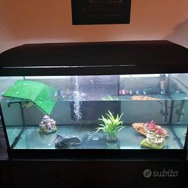 Acquario 190lt