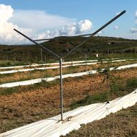 Pali a Y per sostegno alberi