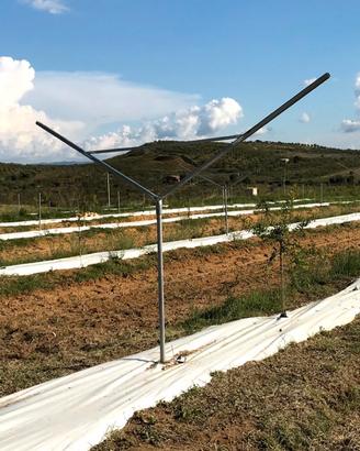 Pali a Y per sostegno alberi