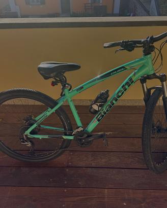 Bicicletta bianchi