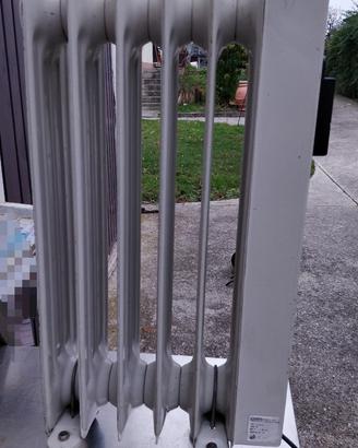 Termosifone elettrico a olio