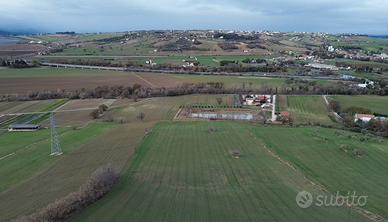 Terreno agricolo 12 ettari