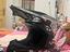Immagine 1