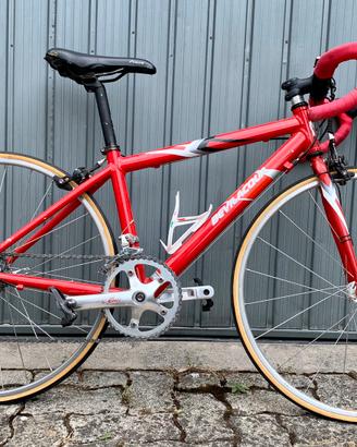 BEVILACQUA 24” | Bici da corsa junior | 8 velocità