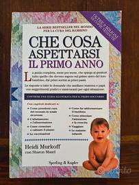 Che cosa aspettarsi il primo anno. 