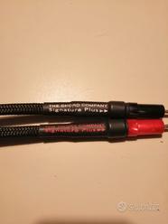 Cavi chord signature plus  			