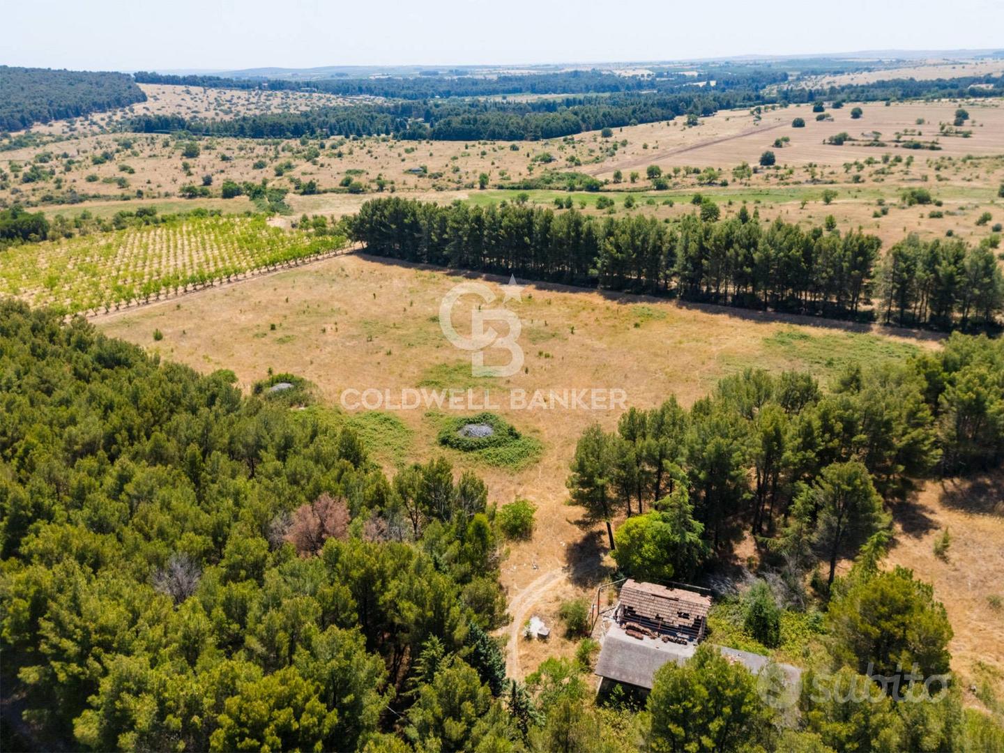 Rustico/Casale/Corte - Andria - Vista 5
