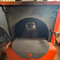 Caldaia biomassa ( a legna)