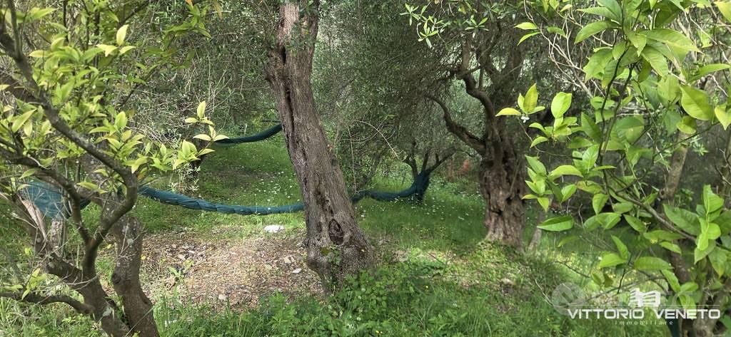 Terreno di 11118 m² a Stella Cilento - Vista 2